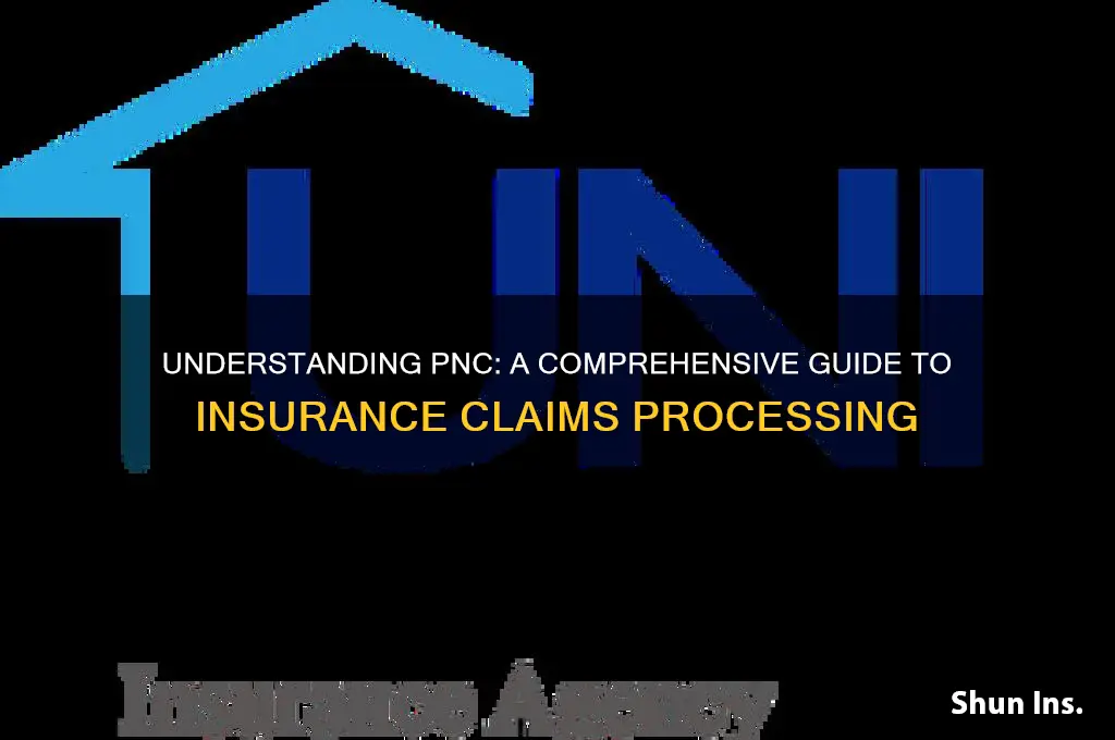 what is pnc in insurance