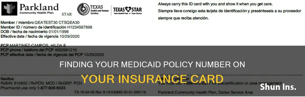what is policy number on insurance card medicaid