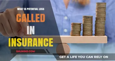 Understanding Potential Loss in Insurance