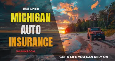 Understanding PPI in Michigan Auto Insurance Policies