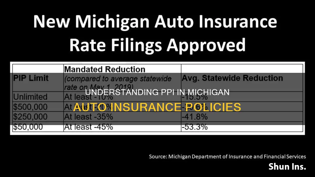 what is ppi in Michigan auto insurance