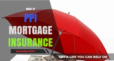 PPI Mortgage Insurance: What You Need to Know