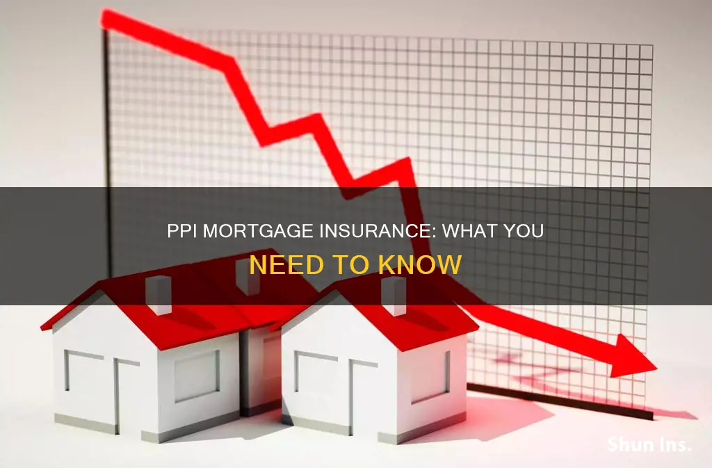 what is ppi mortgage insurance