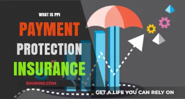 Payment Protection Insurance: What You Need to Know