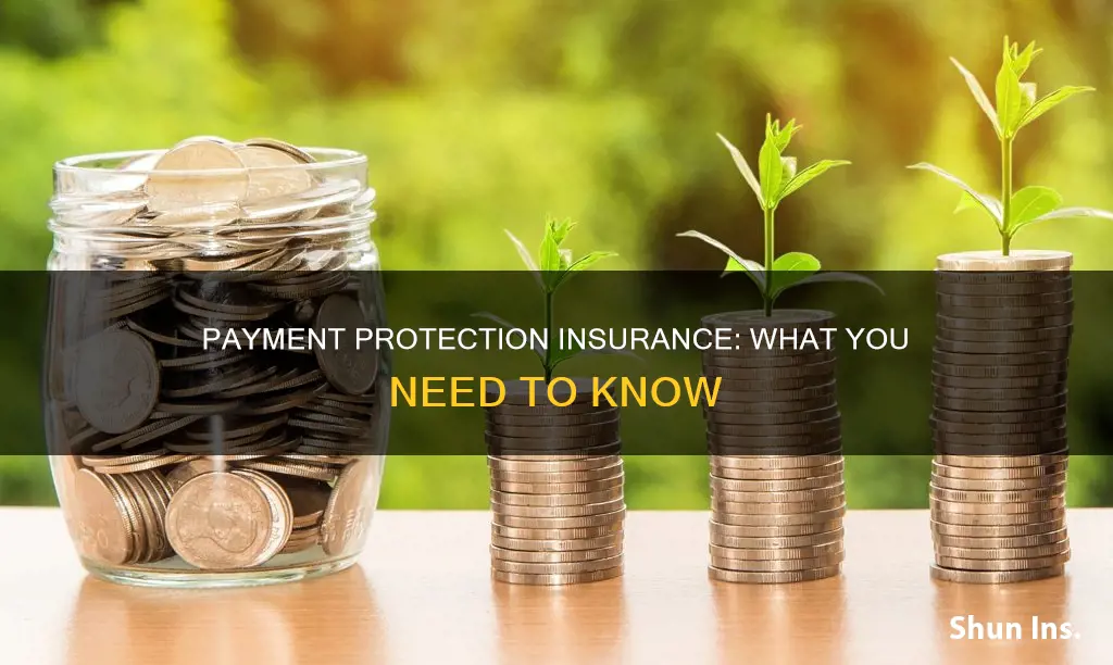 what is ppi payment protection insurance
