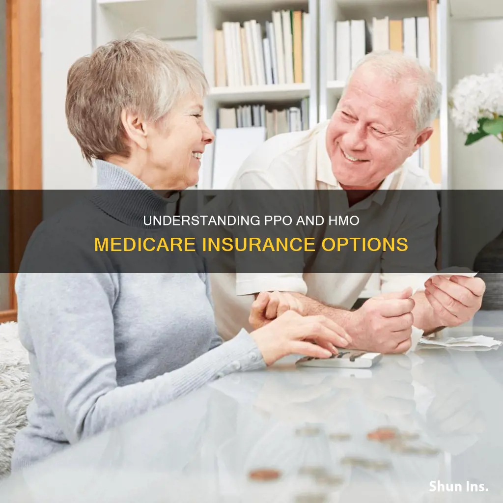 what is ppo and hmo medicare insurance