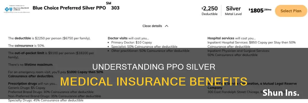 what is ppo silver medical insurance