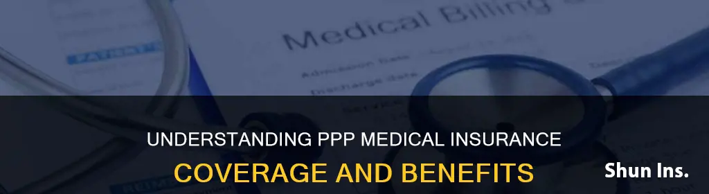 what is ppp medical insurance