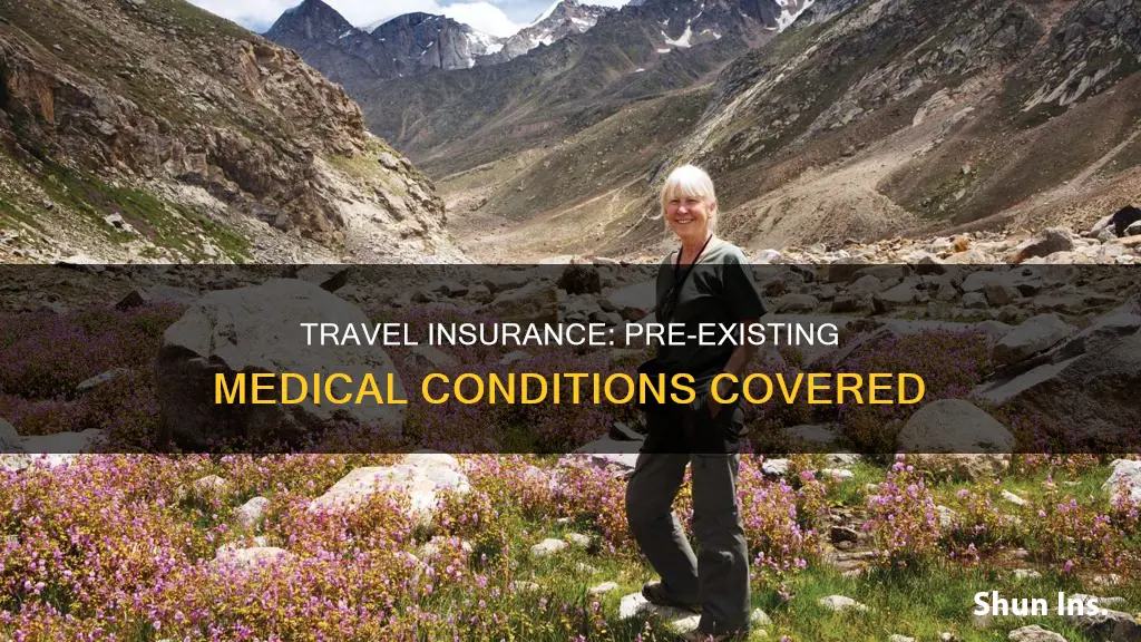 what is pre existing medical condition travel insurance