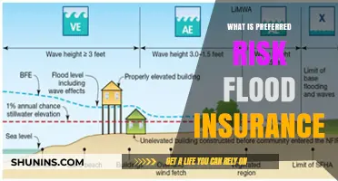 Flood Insurance: What's the Preferred Risk?