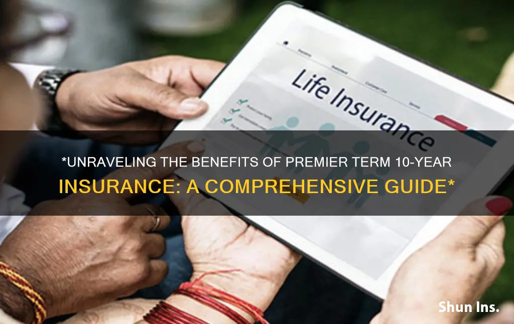 what is premier term 10year insurance