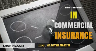 Understanding Commercial Insurance: The Premise Protection