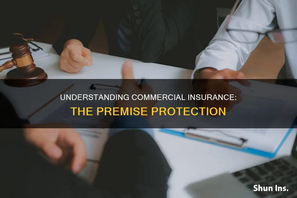 what is premises in commercial insurance