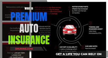 Auto Insurance Premium: What's Covered?