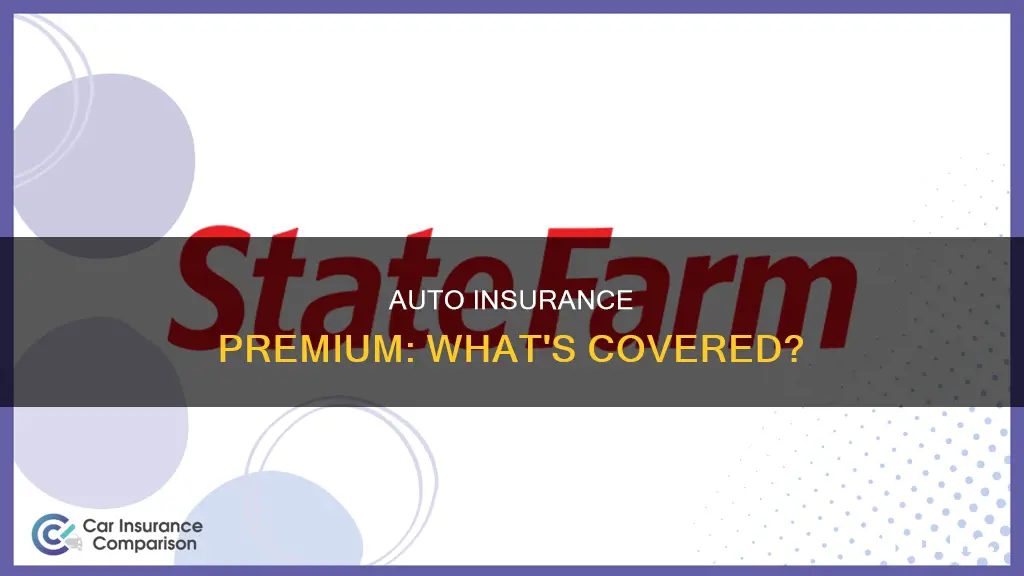 what is premium auto insurance