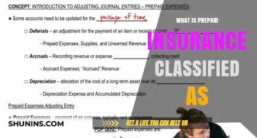 Understanding Prepaid Insurance: Classification and Accounting Treatment Explained
