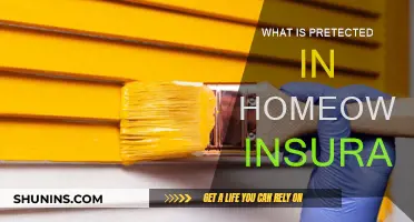 Homeowners Insurance: What Does It Cover?