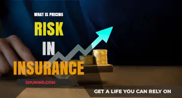 Understanding Insurance Pricing Risks and Strategies