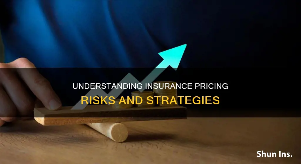 what is pricing risk in insurance