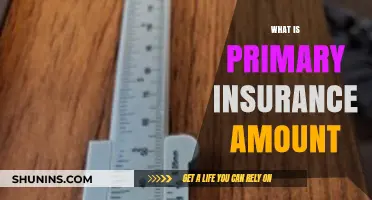 Understanding Your Primary Insurance Amount: A Comprehensive Guide