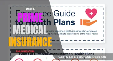 Medical Insurance Simplified: Prime Benefits Explained