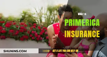 Understanding Primerica Insurance: Coverage, Benefits, and How It Works