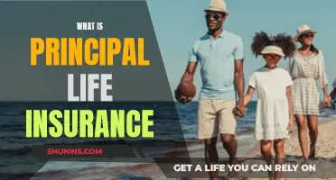 Principal Life Insurance: What You Need to Know