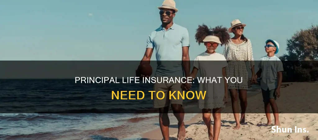 what is principal life insurance