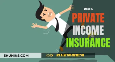 Understanding Private Income Insurance: Protecting Your Earnings