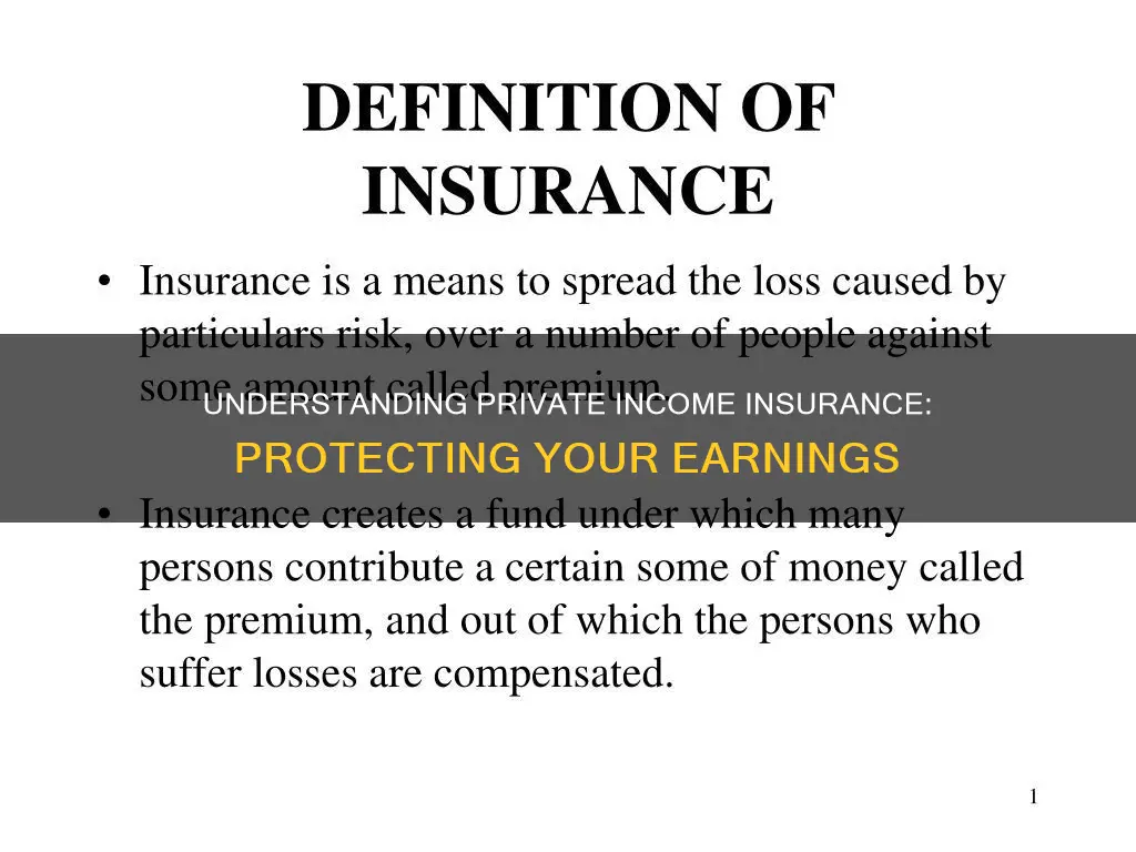 what is private income insurance