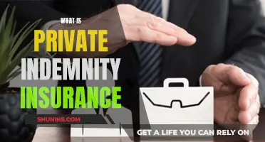 Understanding Private Indemnity Insurance: What You Need to Know