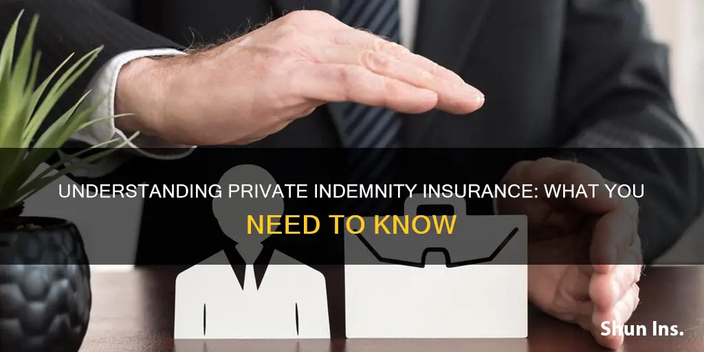 what is private indemnity insurance