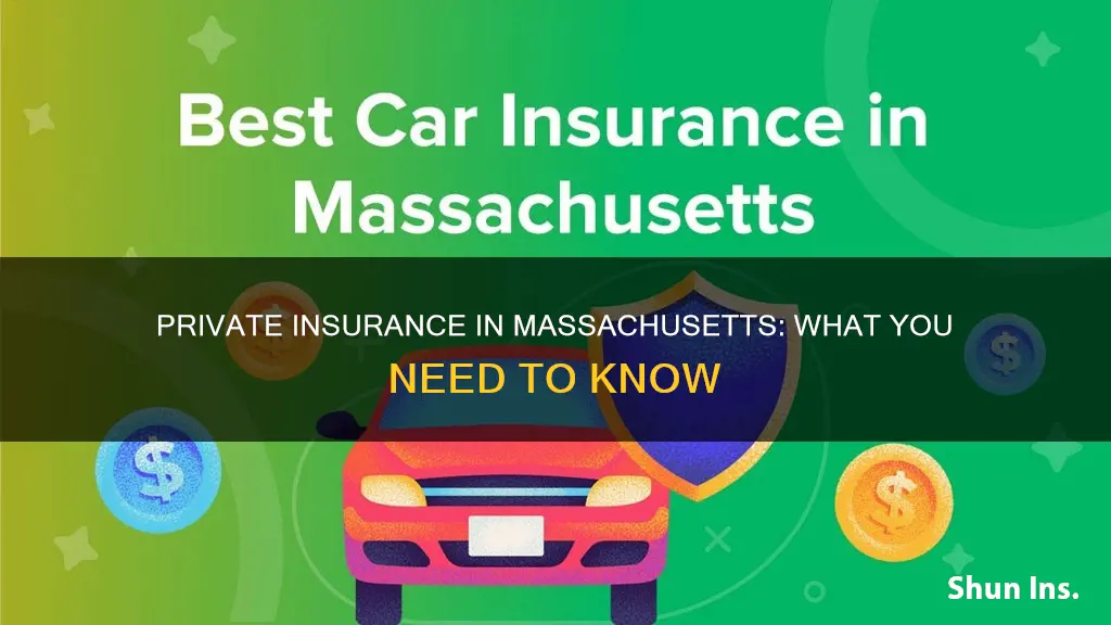 what is private insurance in ma