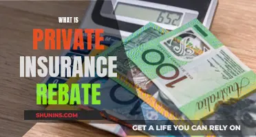 Understanding Private Insurance Rebate Benefits and Drawbacks