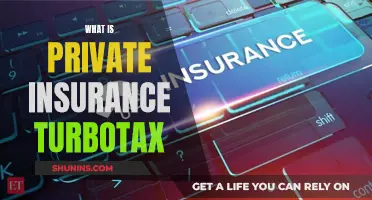 Understanding Private Insurance with TurboTax