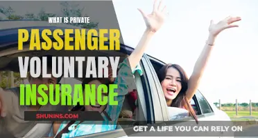 Understanding Private Passenger Voluntary Insurance Coverage