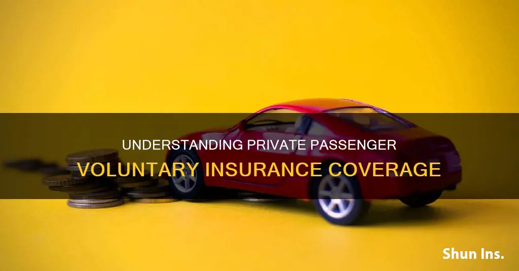 what is private passenger voluntary insurance