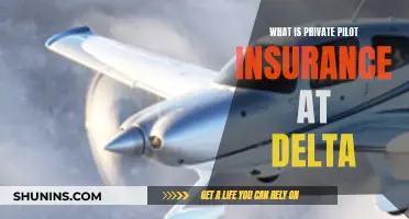 Delta's Private Pilot Insurance: What You Need to Know