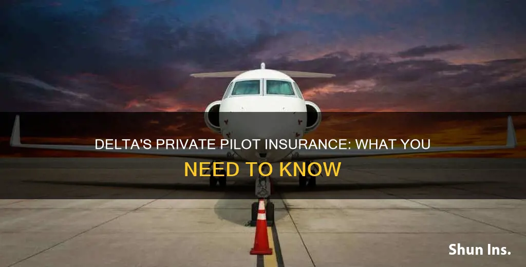 what is private pilot insurance at delta