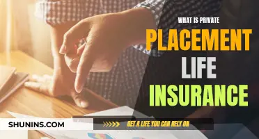 Understanding Private Placement Life Insurance Benefits