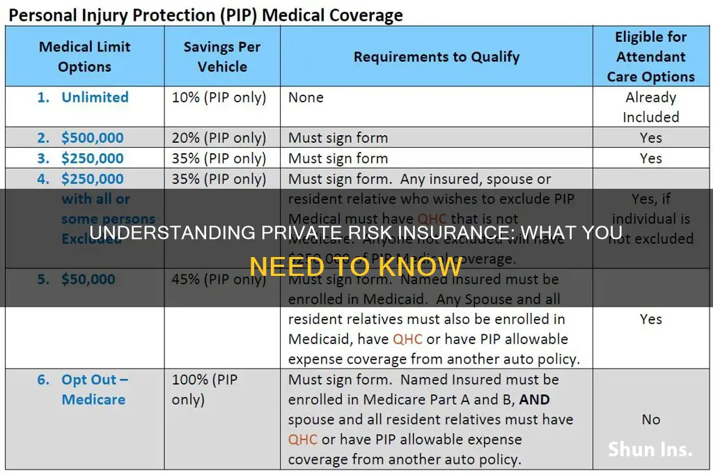 what is private risk insurance