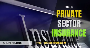 Understanding Private Sector Insurance: What You Need to Know