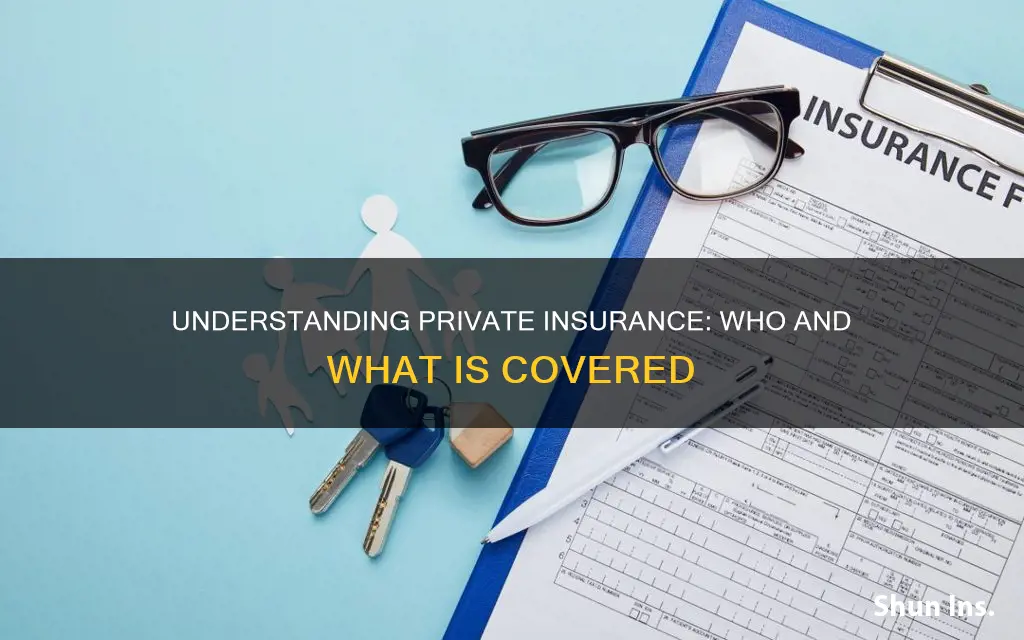 what is privately insured