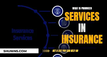 Unveiling the Role of Producer Services in Insurance