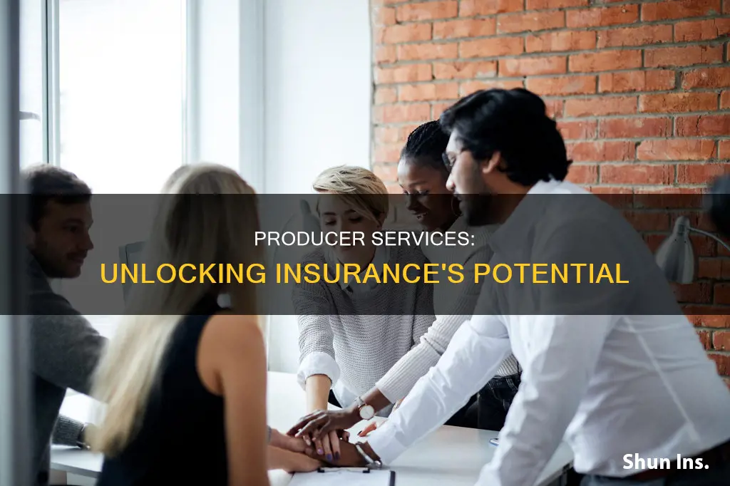 what is producer services in insurance