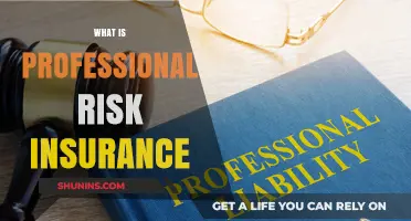 Protecting Your Business: Professional Risk Insurance Explained