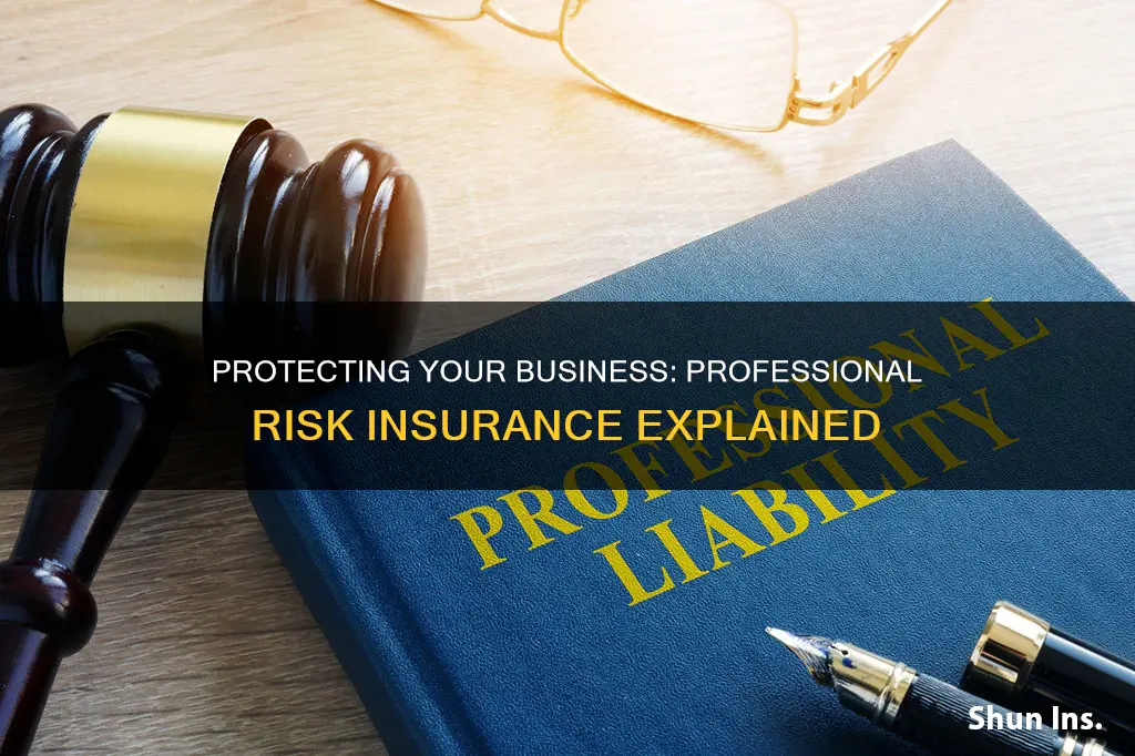 what is professional risk insurance