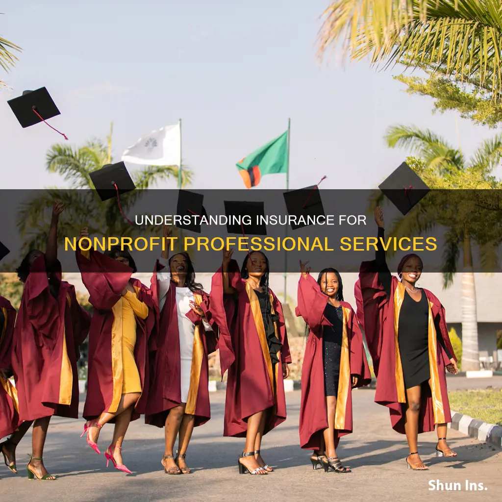 what is professional service definition for nonprofit insurance
