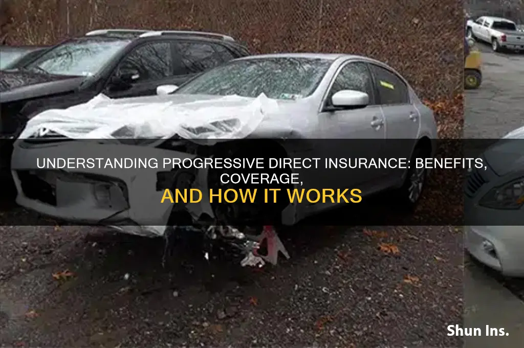 what is prog direct ins