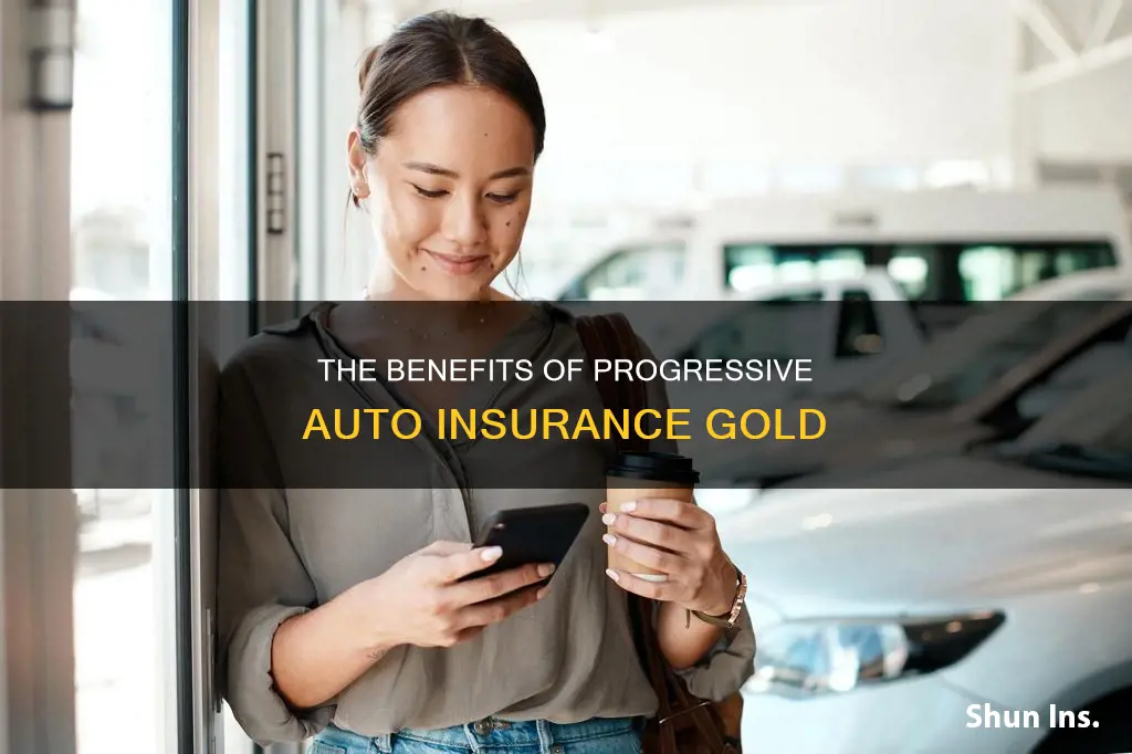 what is progressive auto insurance gold